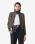 Carlia chaqueta