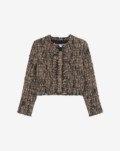 Carlia chaqueta