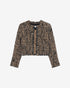 Carlia chaqueta