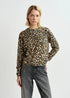 Galler jersey leopardo