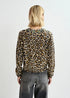 Galler jersey leopardo