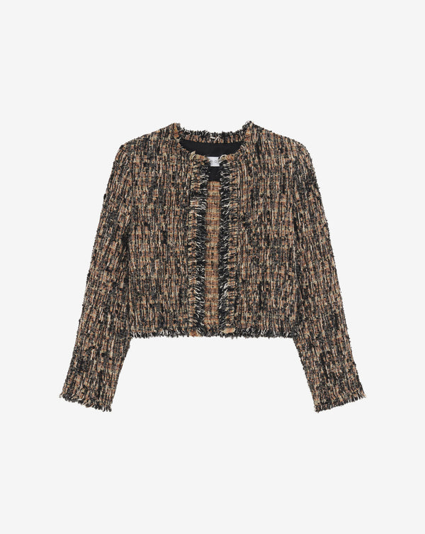 Carlia chaqueta