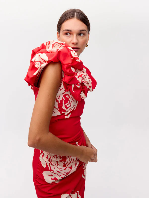 Petalo Roses vestido